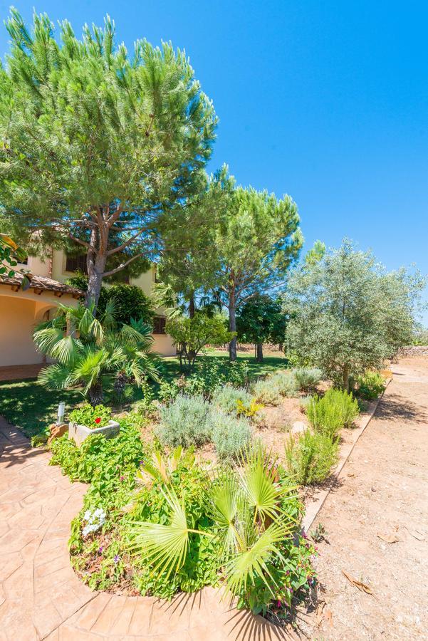 Clau De Sol Can Picafort (Mallorca) Exterior foto