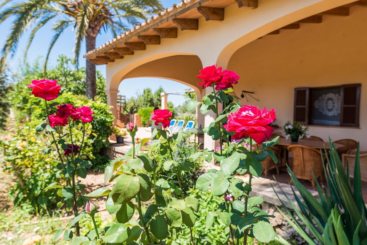 Clau De Sol Can Picafort (Mallorca) Exterior foto