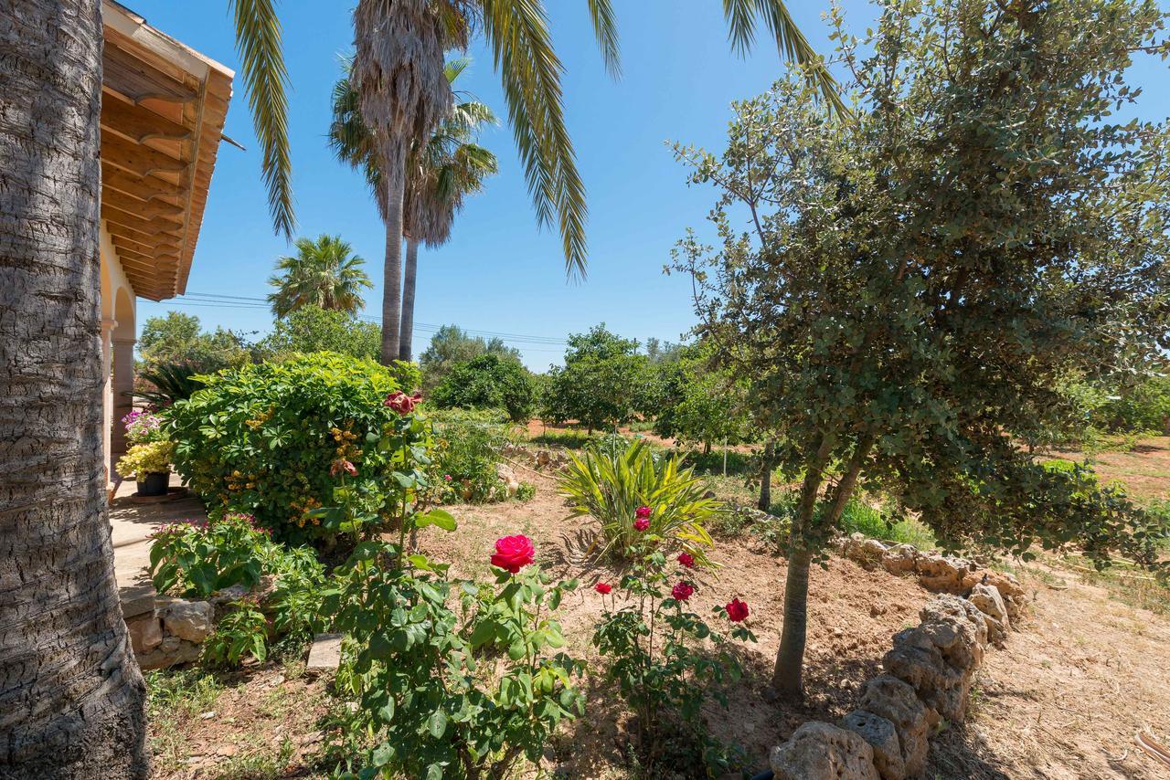 Clau De Sol Can Picafort (Mallorca) Exterior foto