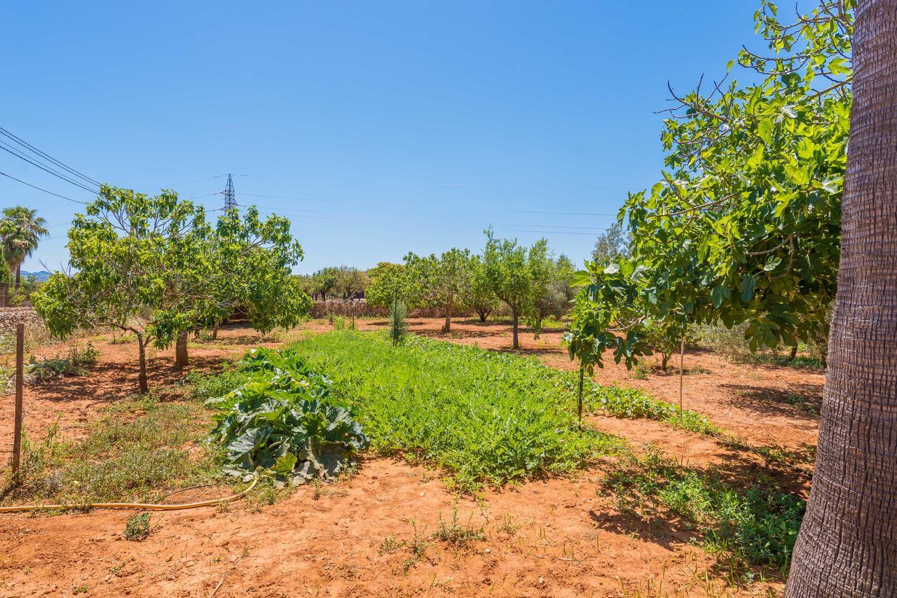Clau De Sol Can Picafort (Mallorca) Exterior foto